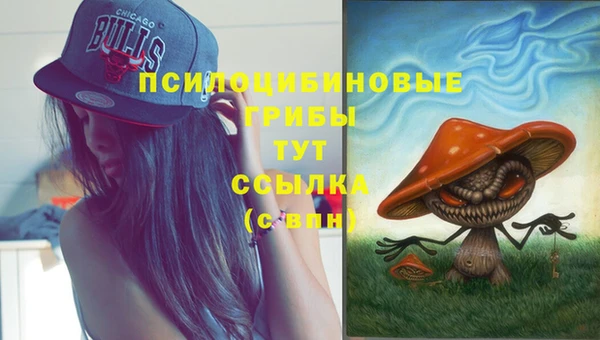 соль ск Алзамай