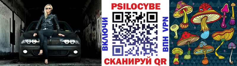 Галлюциногенные грибы MAGIC MUSHROOMS  Бийск 