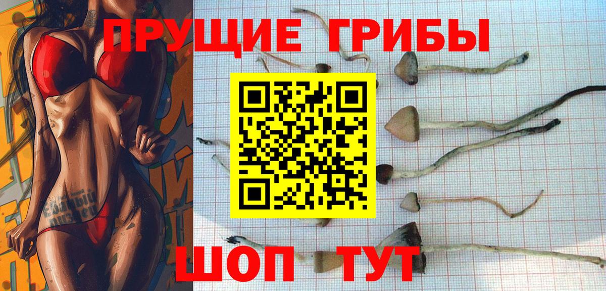 Псилоцибиновые грибы мицелий Бийск
