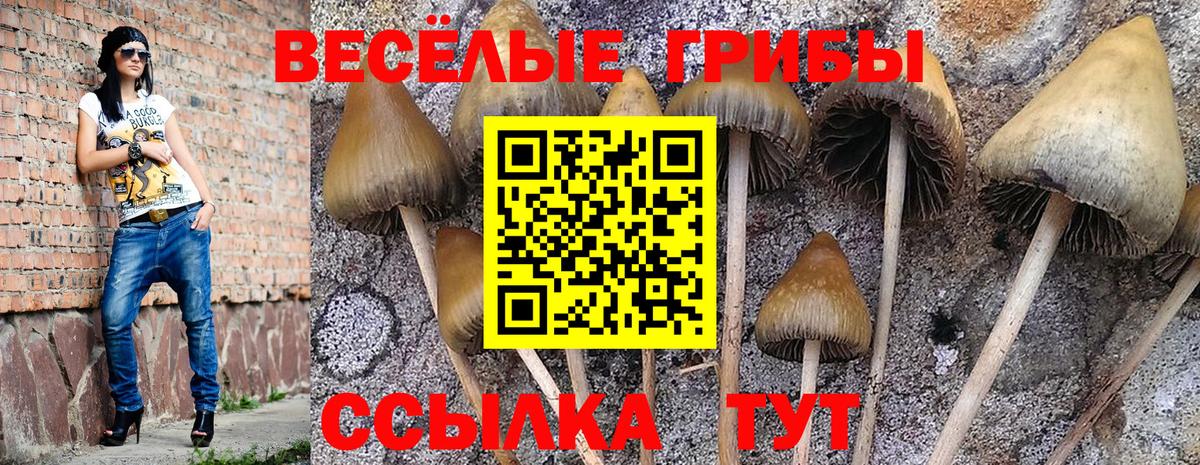 Бийск  Псилоцибиновые грибы ЛСД  Галлюциногенные грибы мухоморы  Вход с VPN 